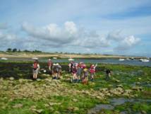 Pôle 1 - Êtres vivants, biodiversité Pôle 1 - Êtres vivants, biodiversité
