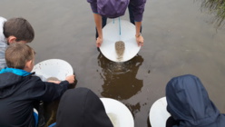 Classes vertes au pays des Mille Sources (Bugeat) Classes vertes au pays des Mille Sources (Bugeat)