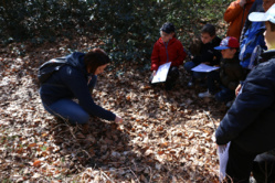 Classes vertes au pays des Mille Sources (Bugeat) Classes vertes au pays des Mille Sources (Bugeat)