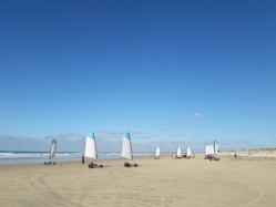 Classe découverte du milieu marin à l'Ile d'Oléron Classe découverte du milieu marin à l'Ile d'Oléron