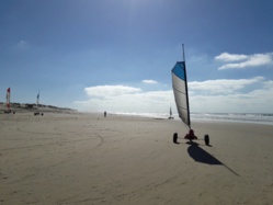 Classe découverte du milieu marin à l'Ile d'Oléron Classe découverte du milieu marin à l'Ile d'Oléron