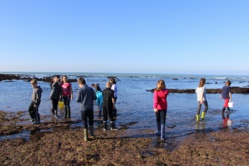  Classe découverte du milieu marin à l'Ile d'Oléron