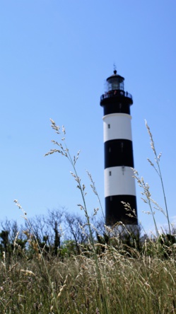 Classe découverte du milieu marin à l'Ile d'Oléron Classe découverte du milieu marin à l'Ile d'Oléron