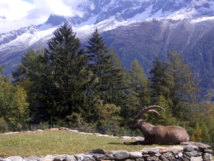 Pôle 2 - Milieu naturel et humain Pôle 2 - Milieu naturel et humain