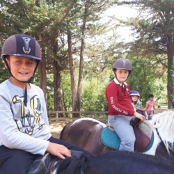 Super Poney - 6/12 ans