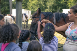 Super Poney - 6/12 ans