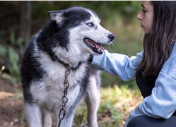 Autres destinations Autres destinations