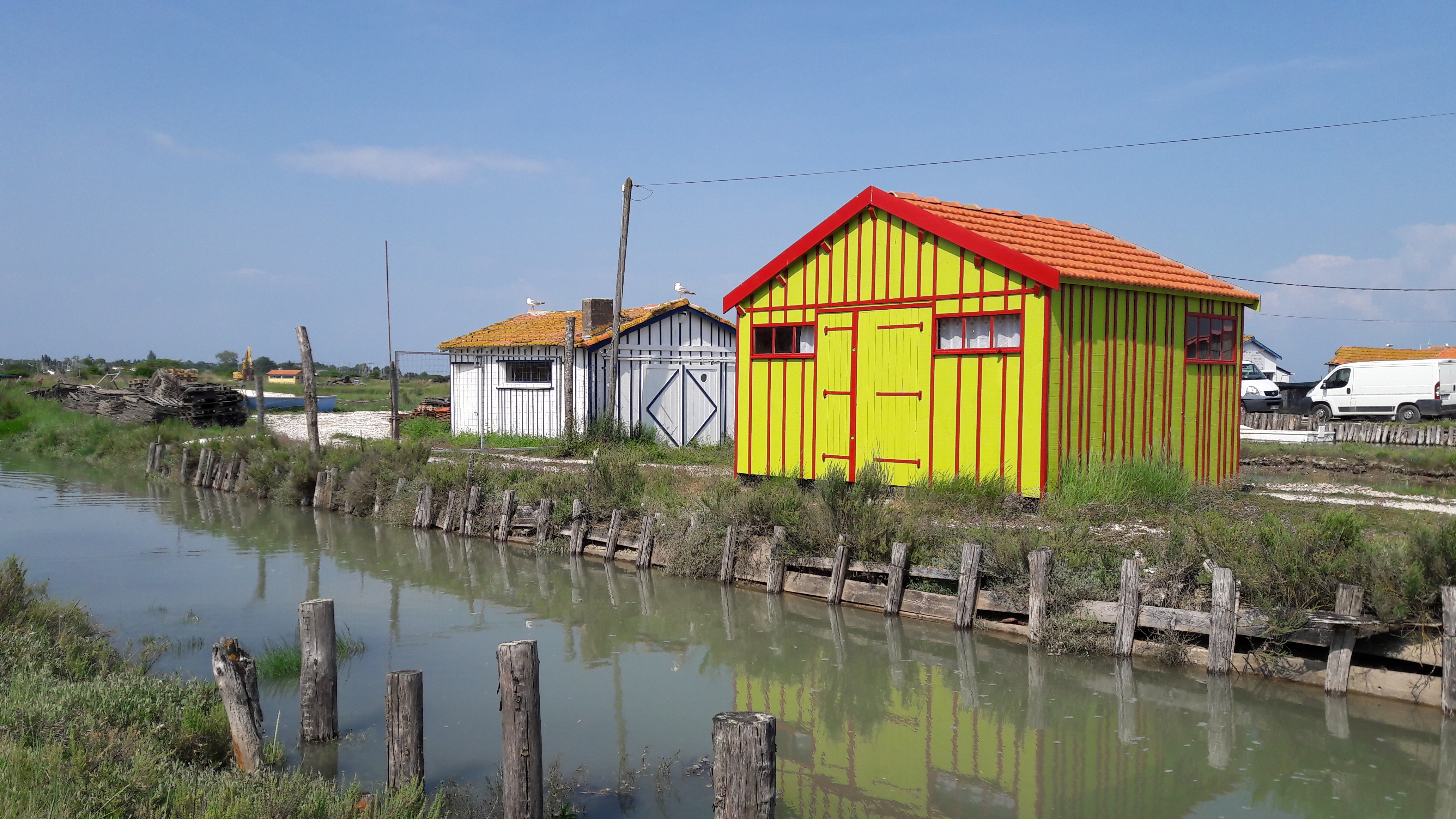  Classe découverte du milieu marin à l'Ile d'Oléron