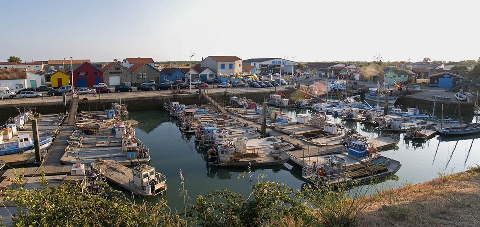 Oléron, ses randos et ses environs