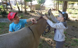 Cheval et océan 6-12 ans