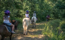 Voile &amp; Poney - 8/12 ans