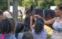 Super Poney - 6/12 ans